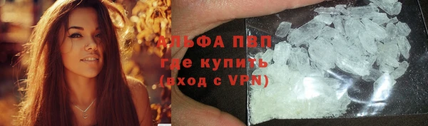 стафф Инта