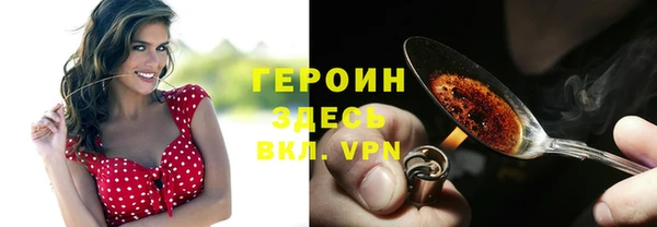apvp Инсар