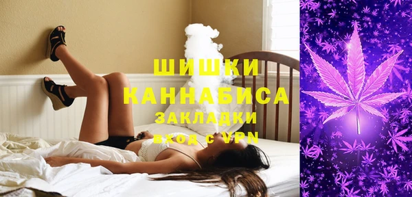 молекула духа Иннополис