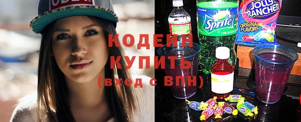 apvp Инсар