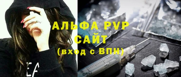 apvp Инсар