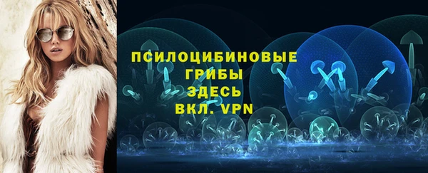 стафф Инта