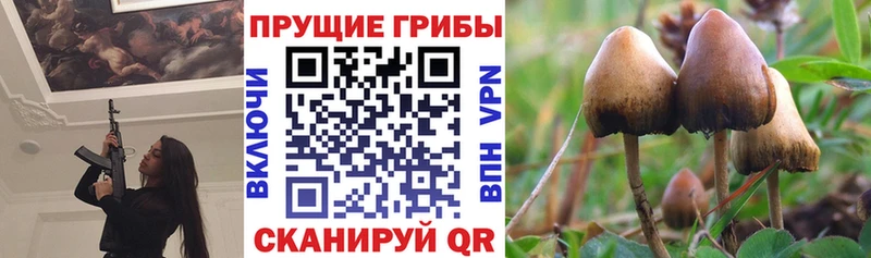 Галлюциногенные грибы прущие грибы  Купить закладки  Бронницы 